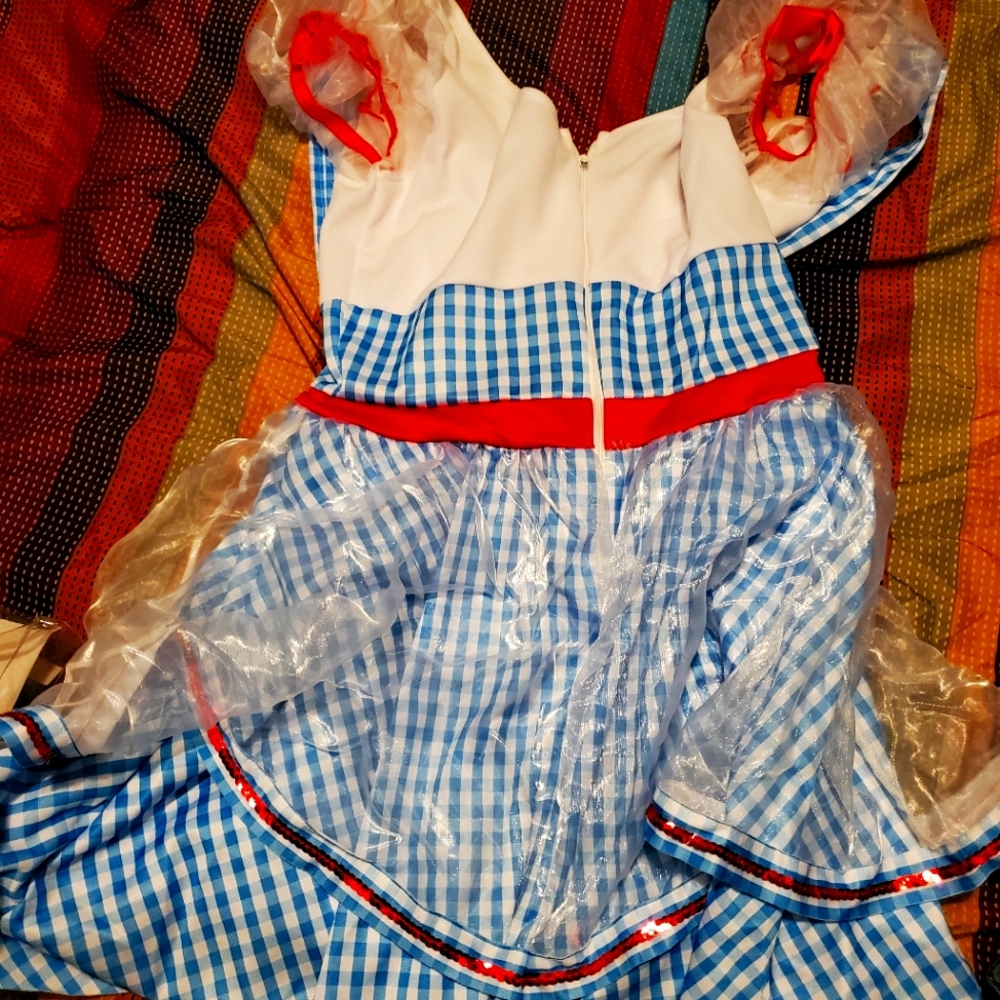 Size 8 Dorothy costume